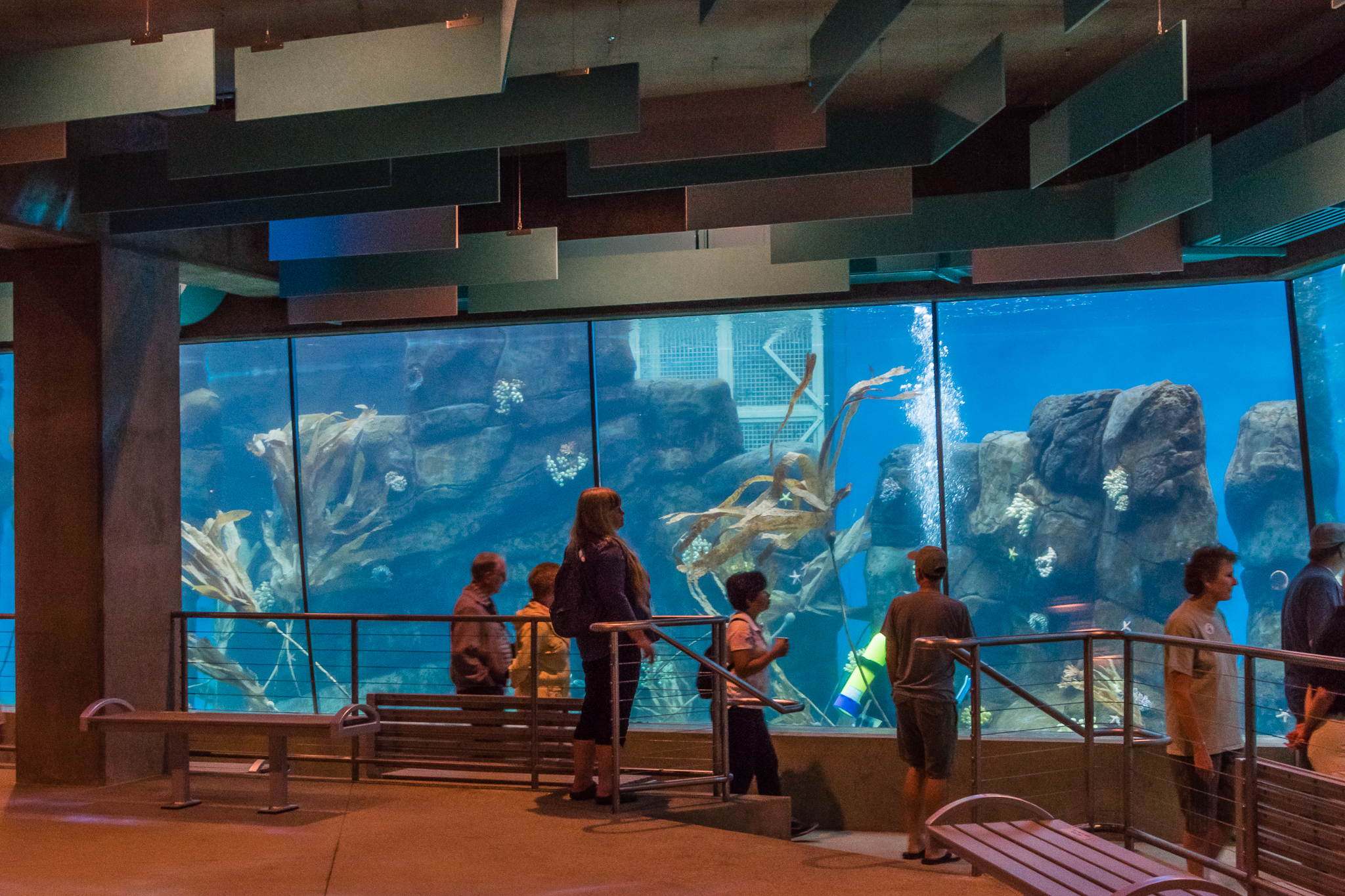 Africa Rocks Donor Preview 7/01/2017