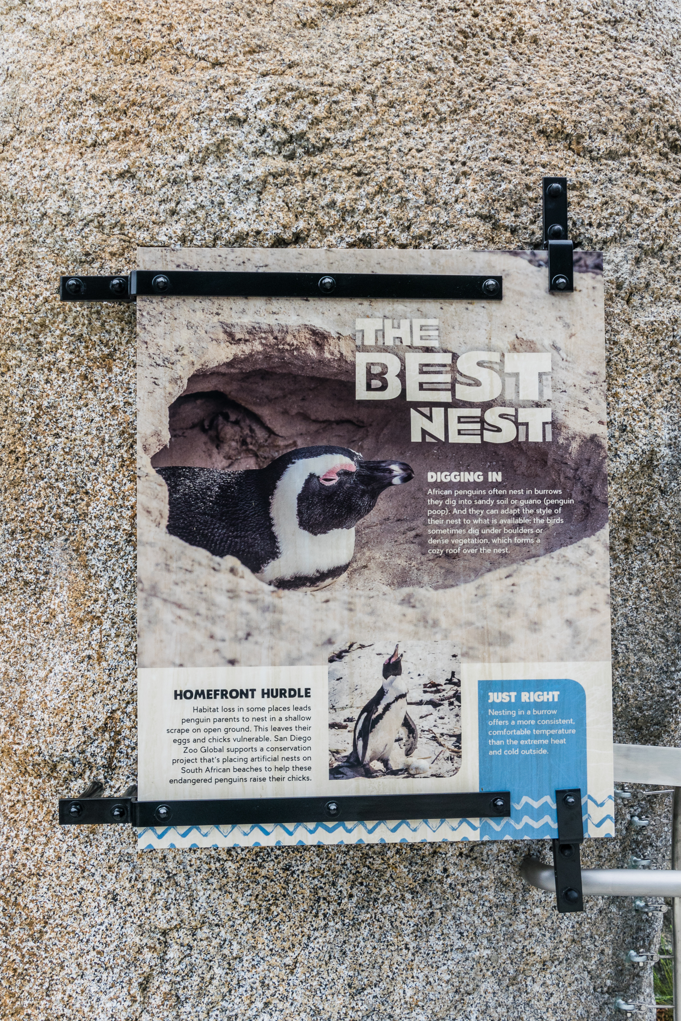 Africa Rocks Donor Preview 7/01/2017