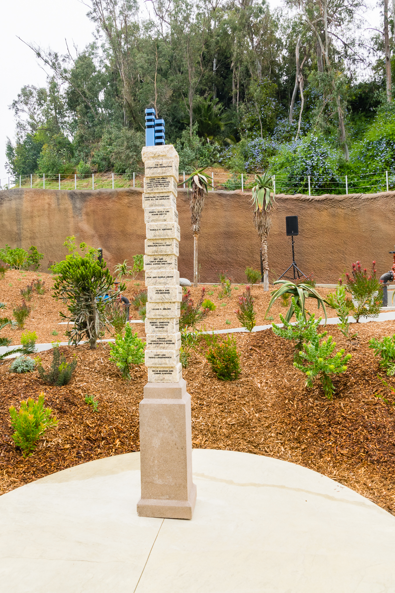 Africa Rocks Donor Preview 7/01/2017