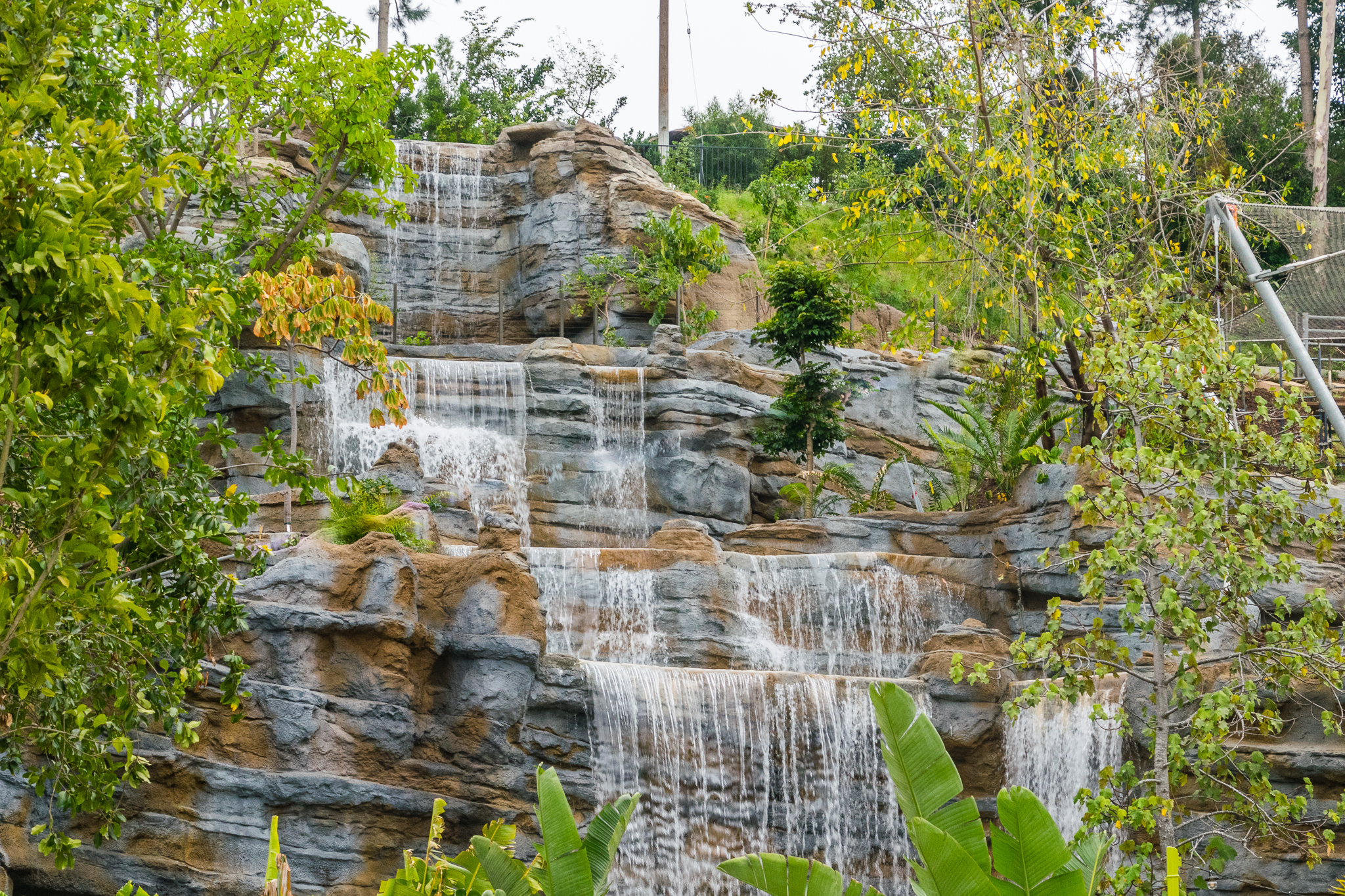 Africa Rocks Donor Preview 7/01/2017