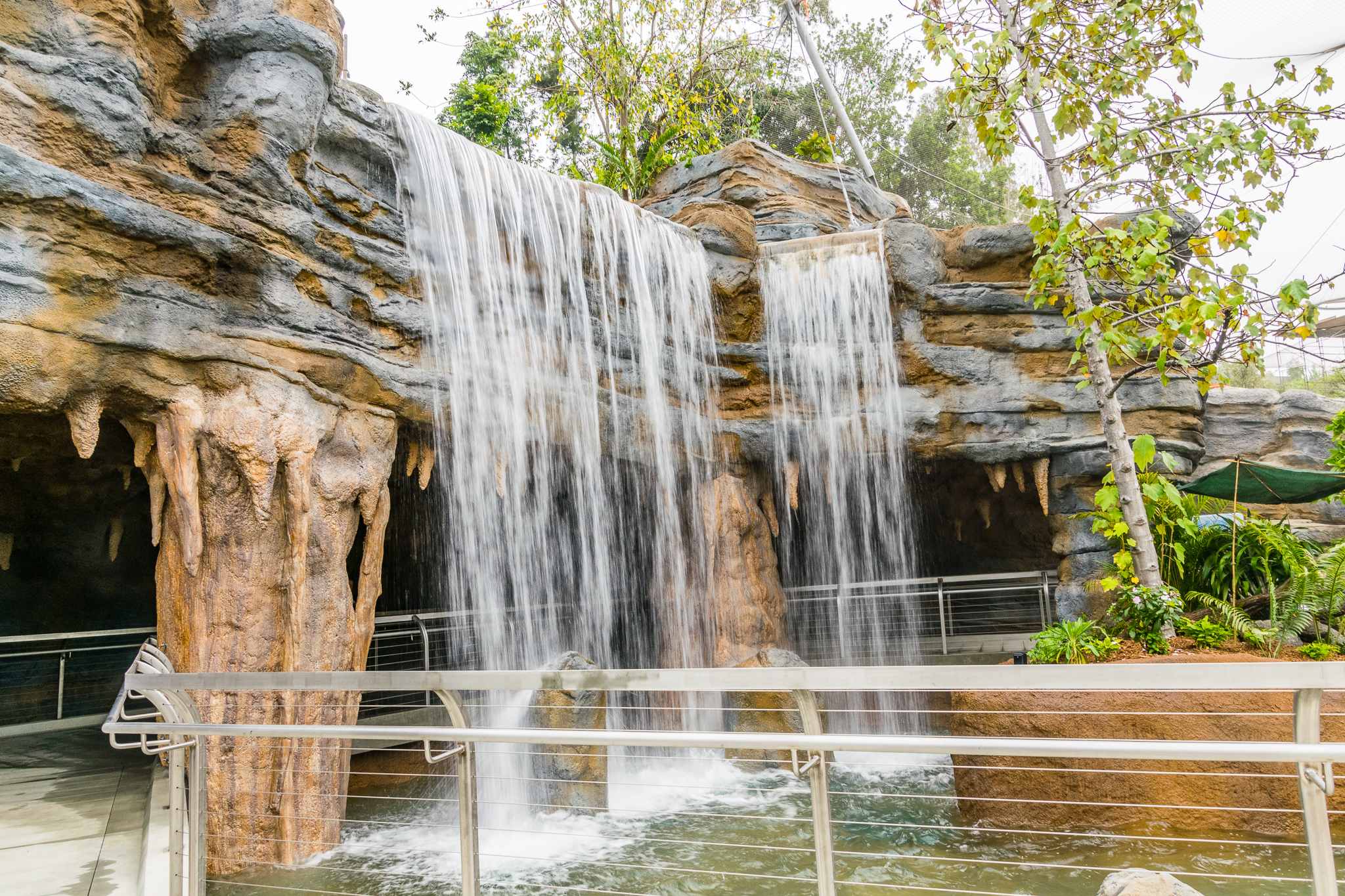 Africa Rocks Donor Preview 7/01/2017