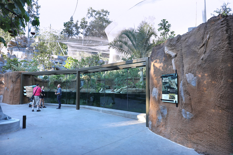 Africa Rocks - dwarf croc and turtles