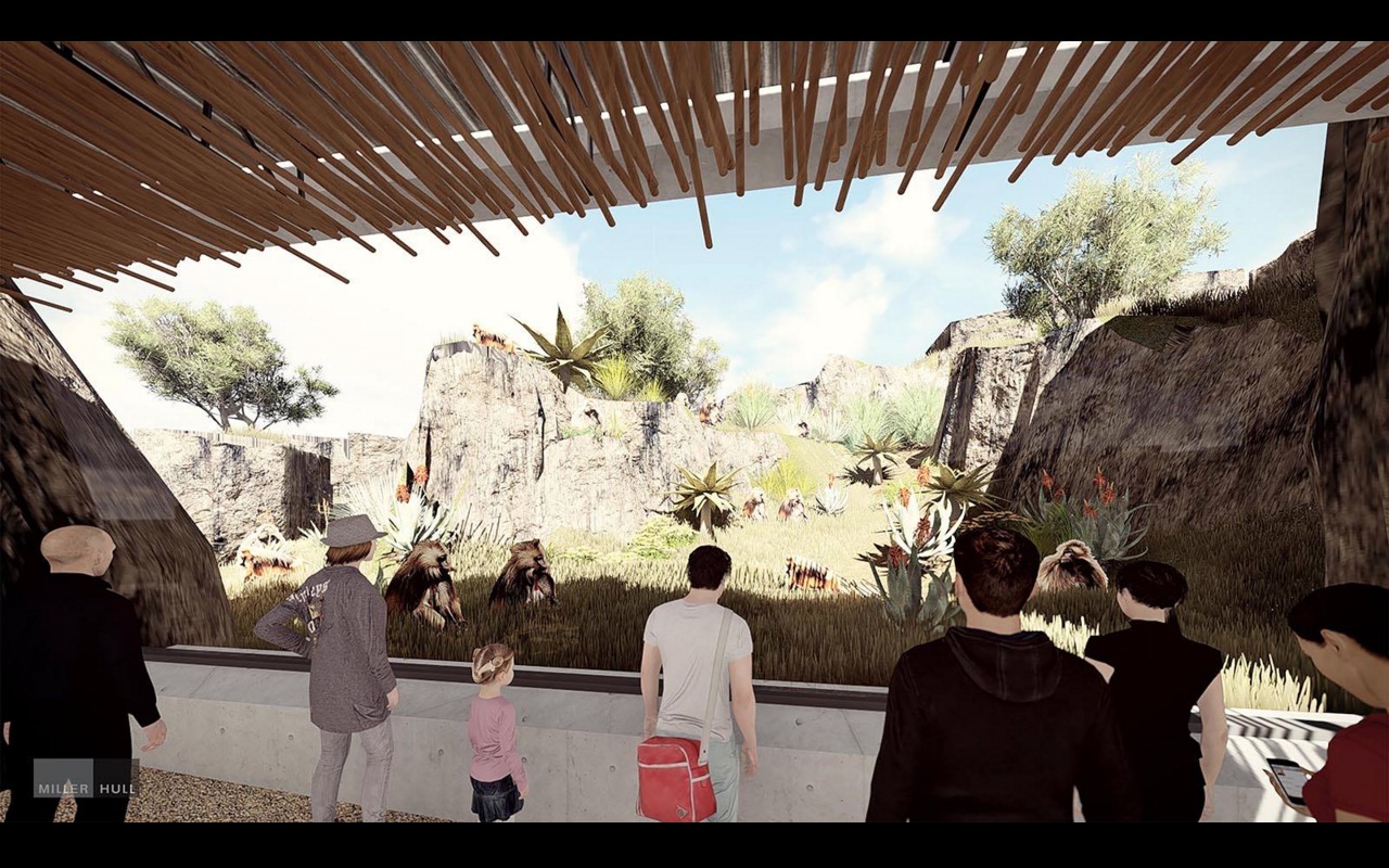 Africa Rocks Gelada Exhibit Concept