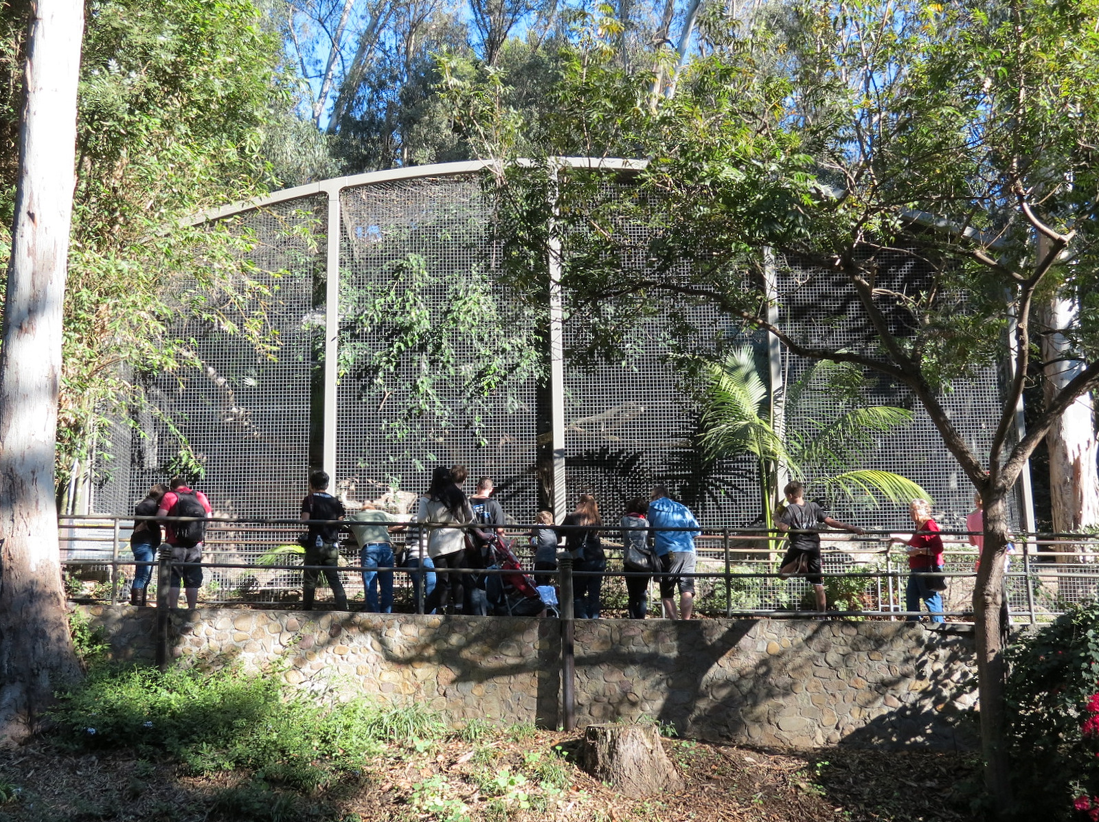 Africa Rocks - Jaguar Exhibit
