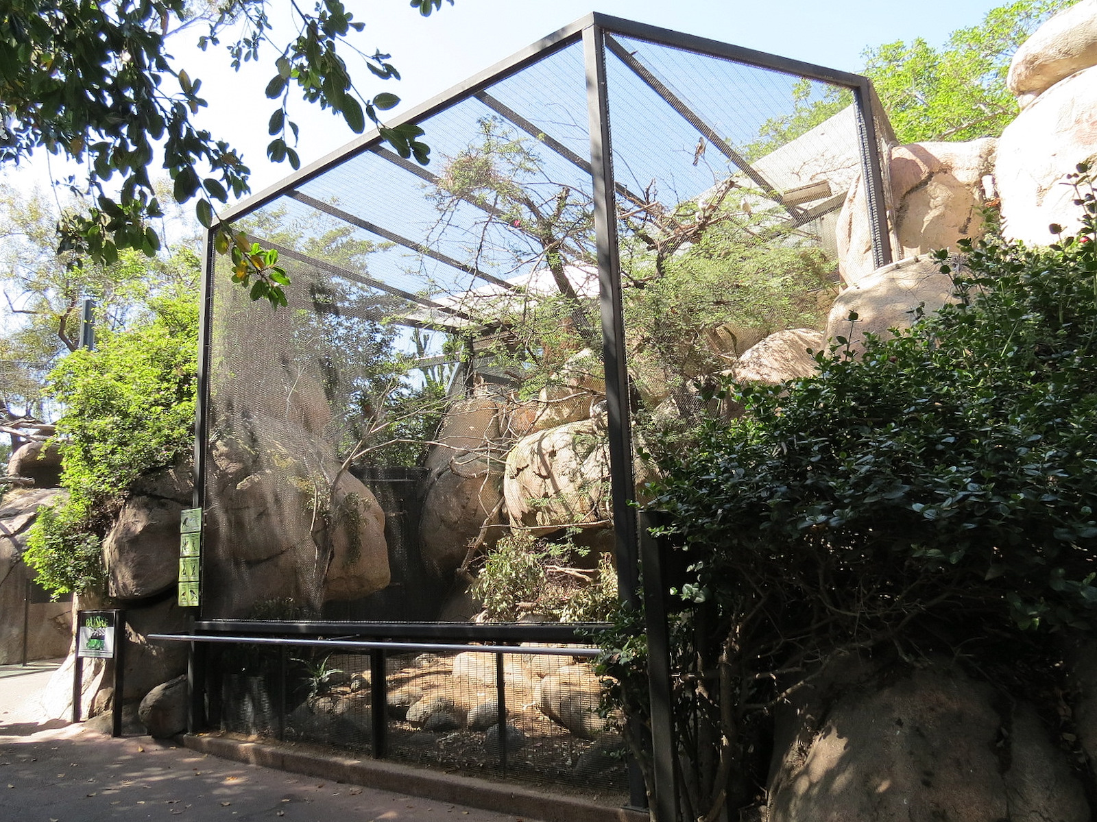 Africa Rocks - Kopje - Aviary