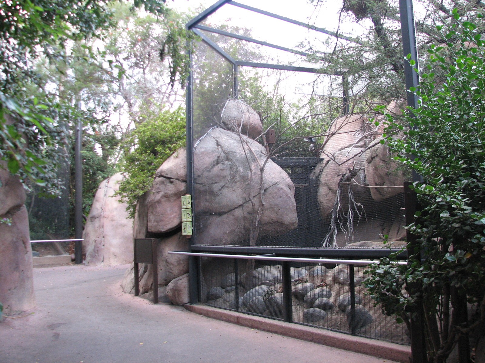 Africa Rocks - Kopje - Aviary