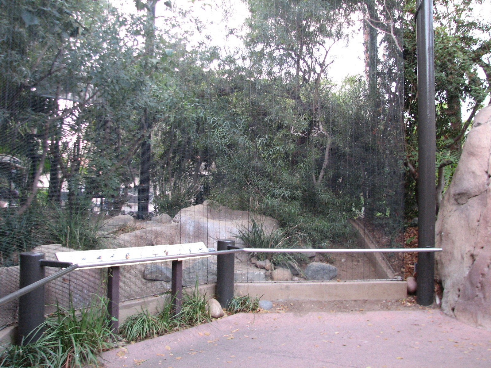 Africa Rocks - Kopje - Aviary