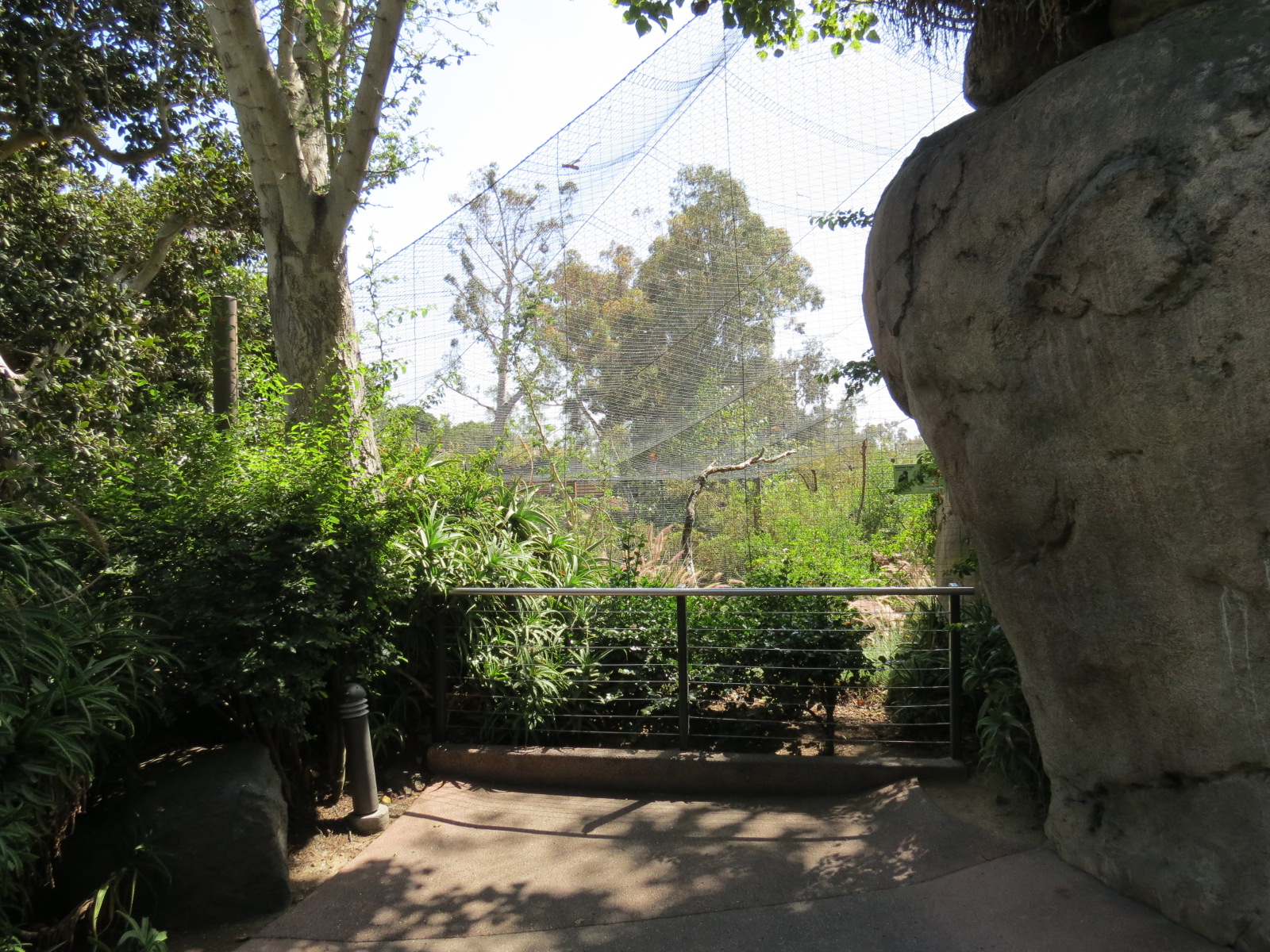 Africa Rocks - Kopje - Bataleur Eagle Exhibit