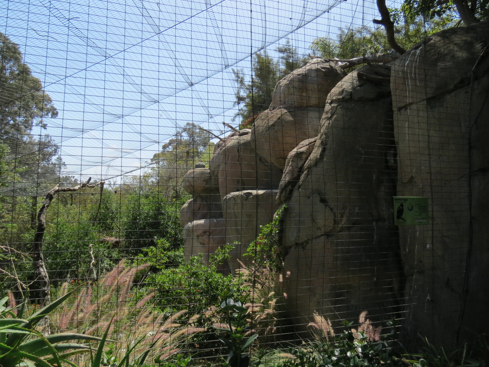 Africa Rocks - Kopje - Bataleur Eagle Exhibit