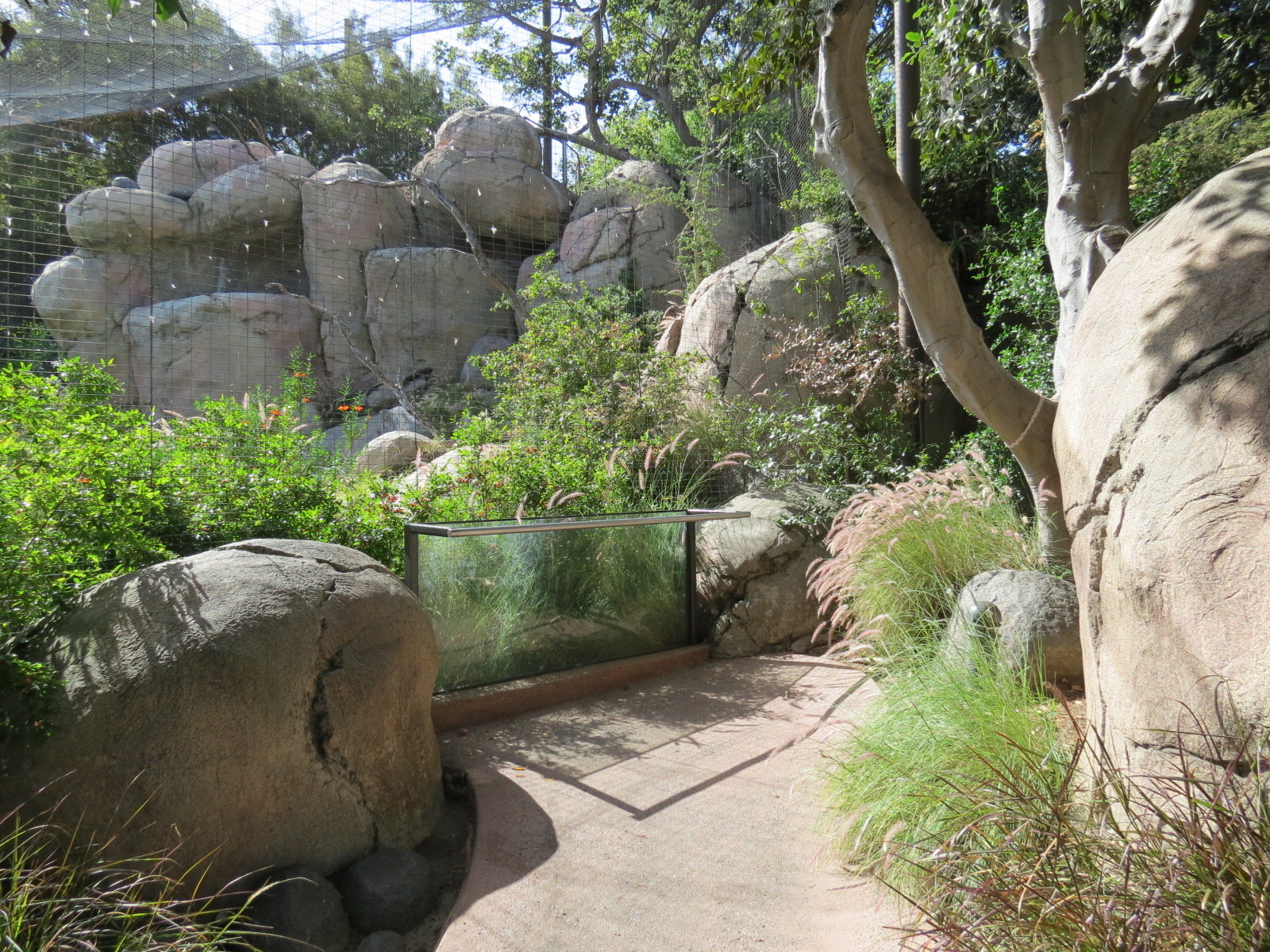 Africa Rocks - Kopje - Bataleur Eagle Exhibit
