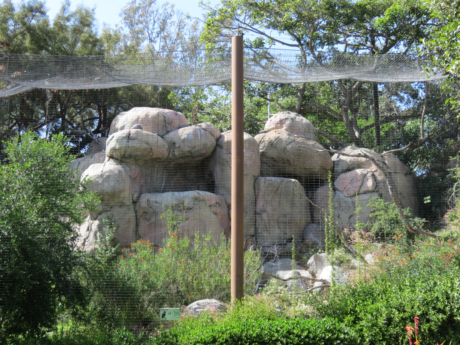 Africa Rocks - Kopje - Bataleur Eagle Exhibit
