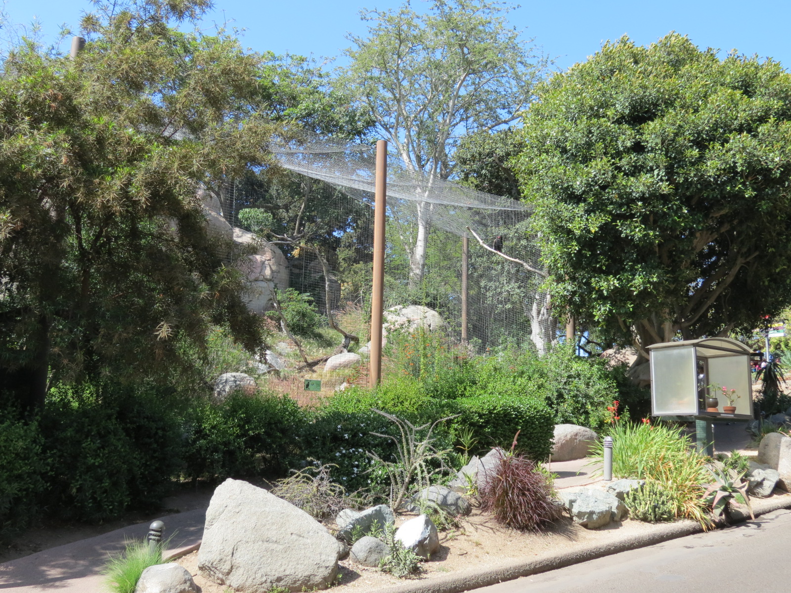 Africa Rocks - Kopje - Bataleur Eagle Exhibit