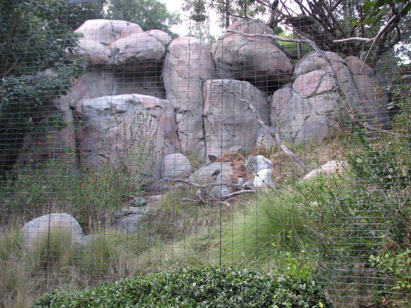 Africa Rocks - Kopje - Bataleur Eagle Exhibit