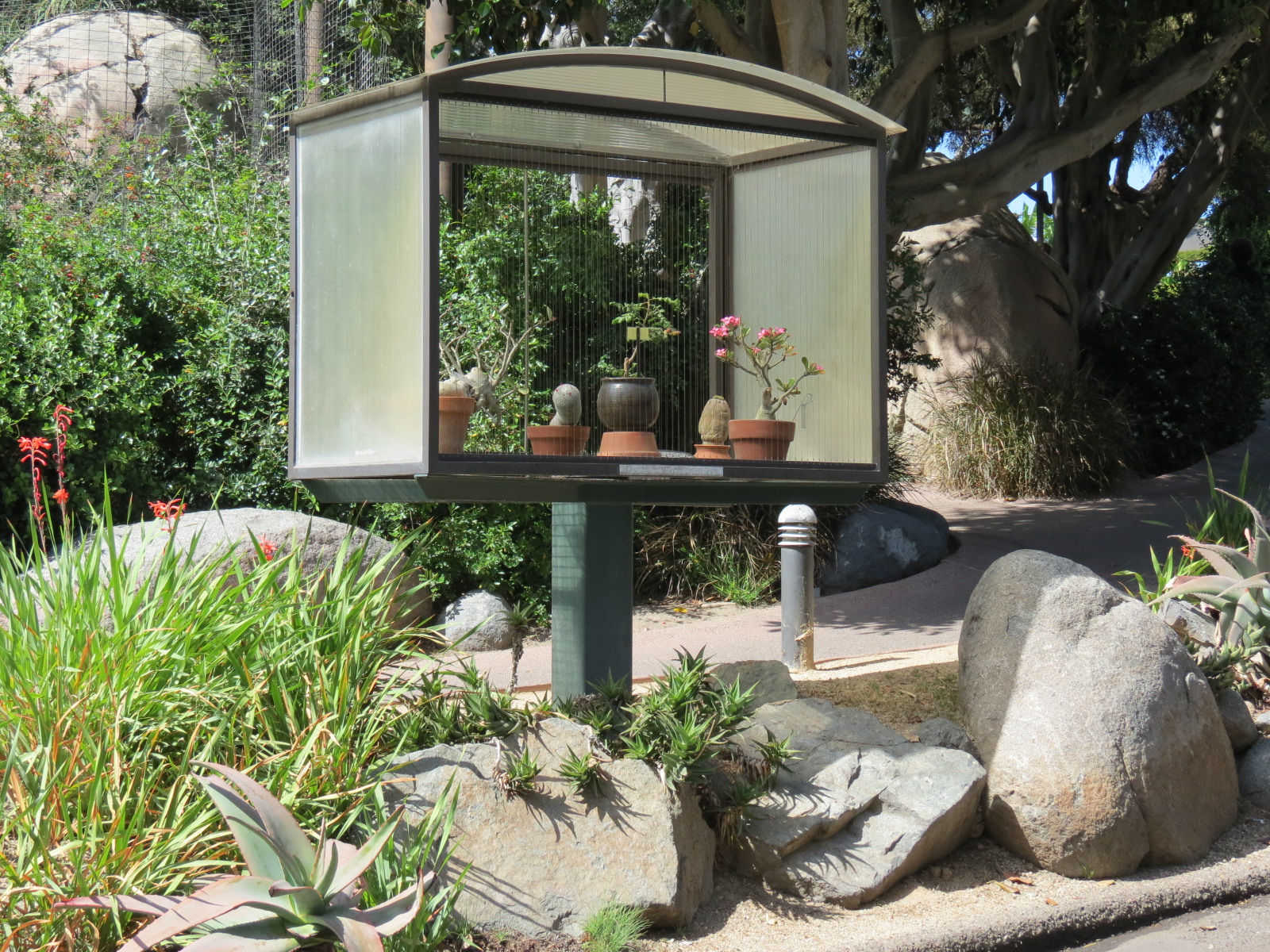 Africa Rocks - Kopje - Botanic Display