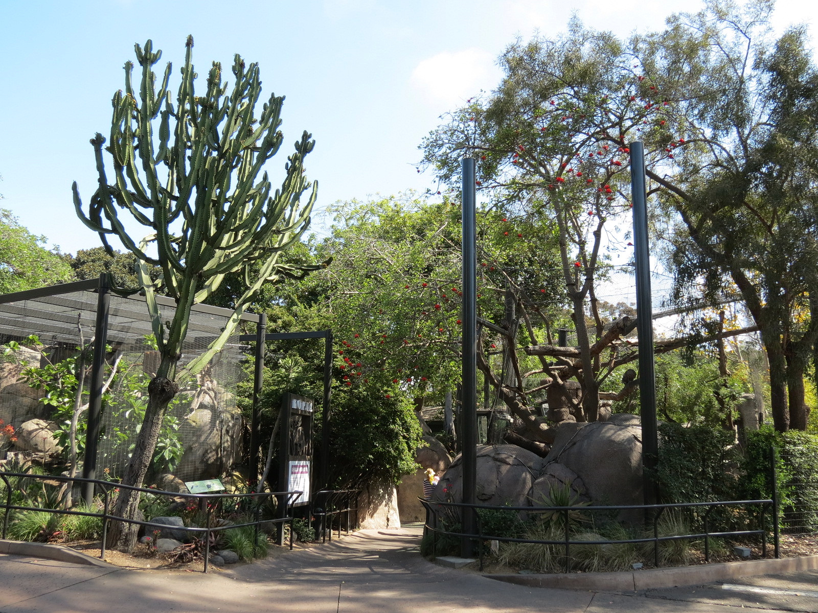 Africa Rocks - Kopje - Entrance