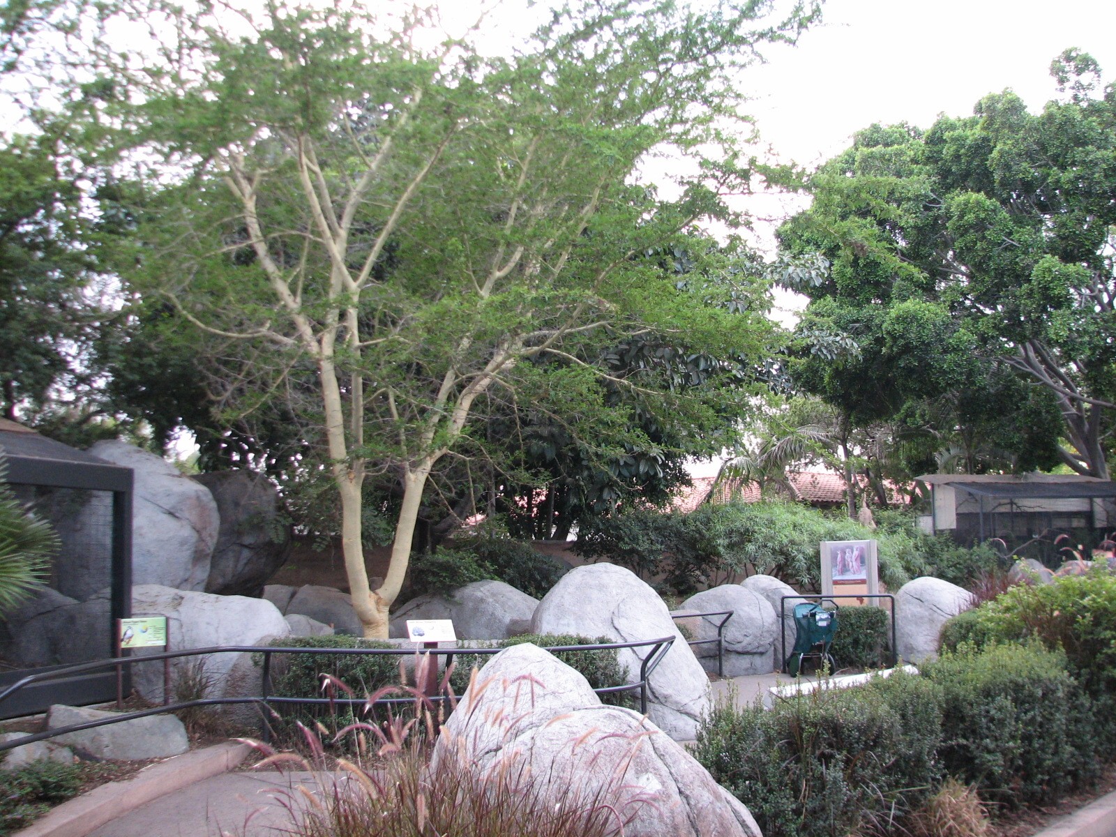 Africa Rocks - Kopje - Exhibit Path