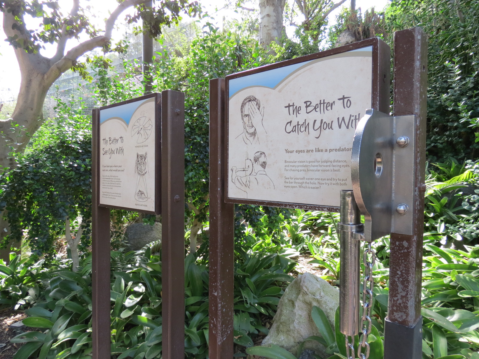 Africa Rocks - Kopje - Interpretive Graphics