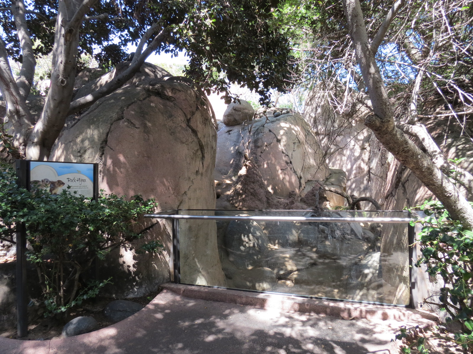 Africa Rocks - Kopje - Kopje - Klipspringer, Rock Hyrax, and Dwarf Mongoose