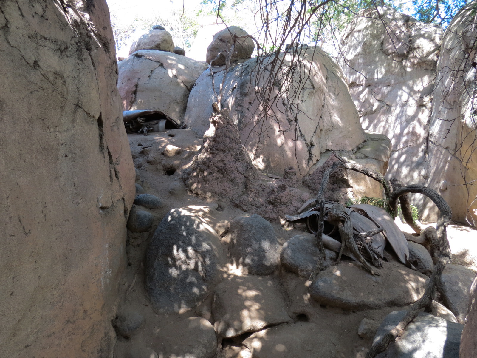 Africa Rocks - Kopje - Kopje - Klipspringer, Rock Hyrax, and Dwarf Mongoose