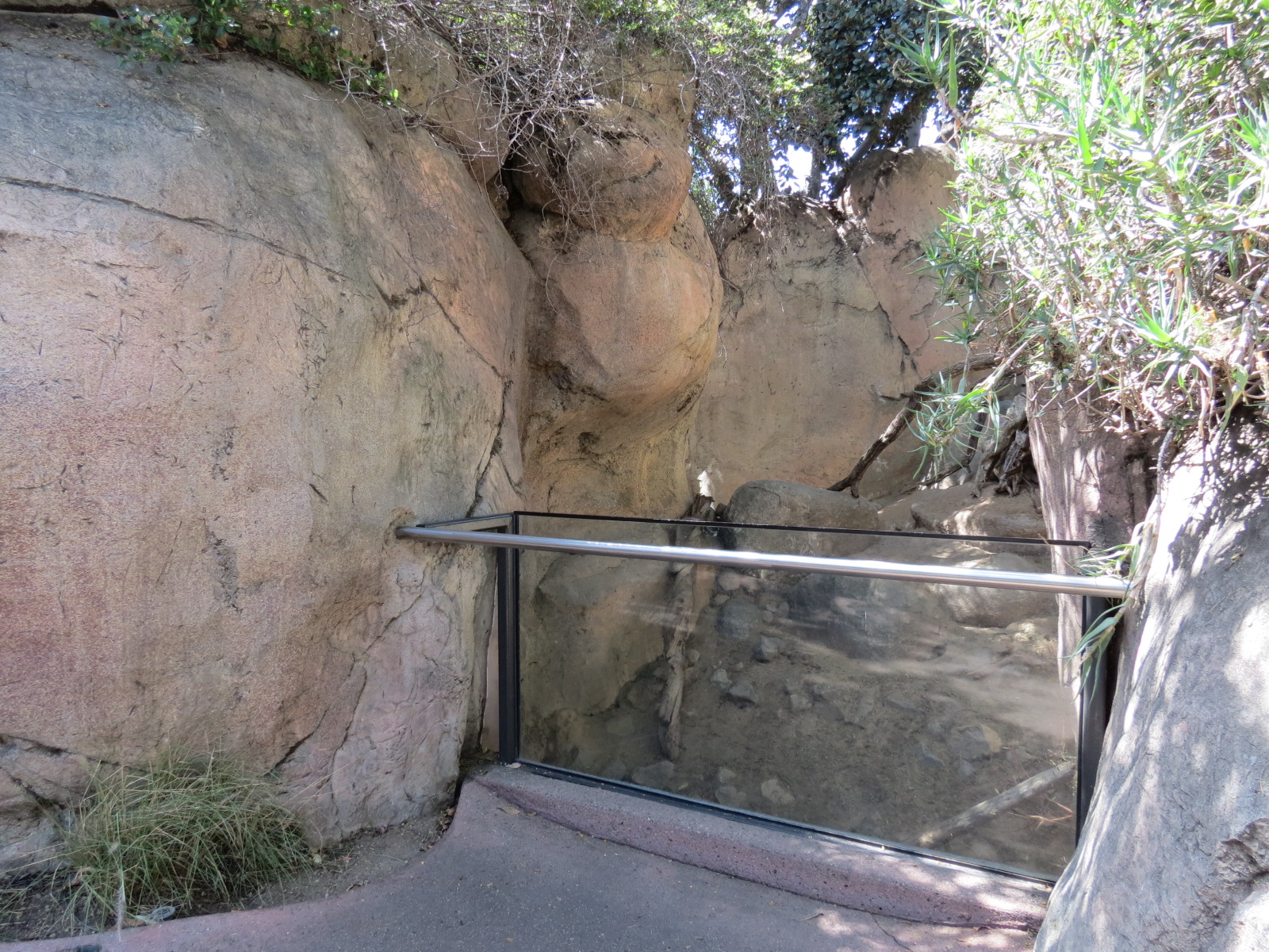 Africa Rocks - Kopje - Kopje - Klipspringer, Rock Hyrax, and Dwarf Mongoose