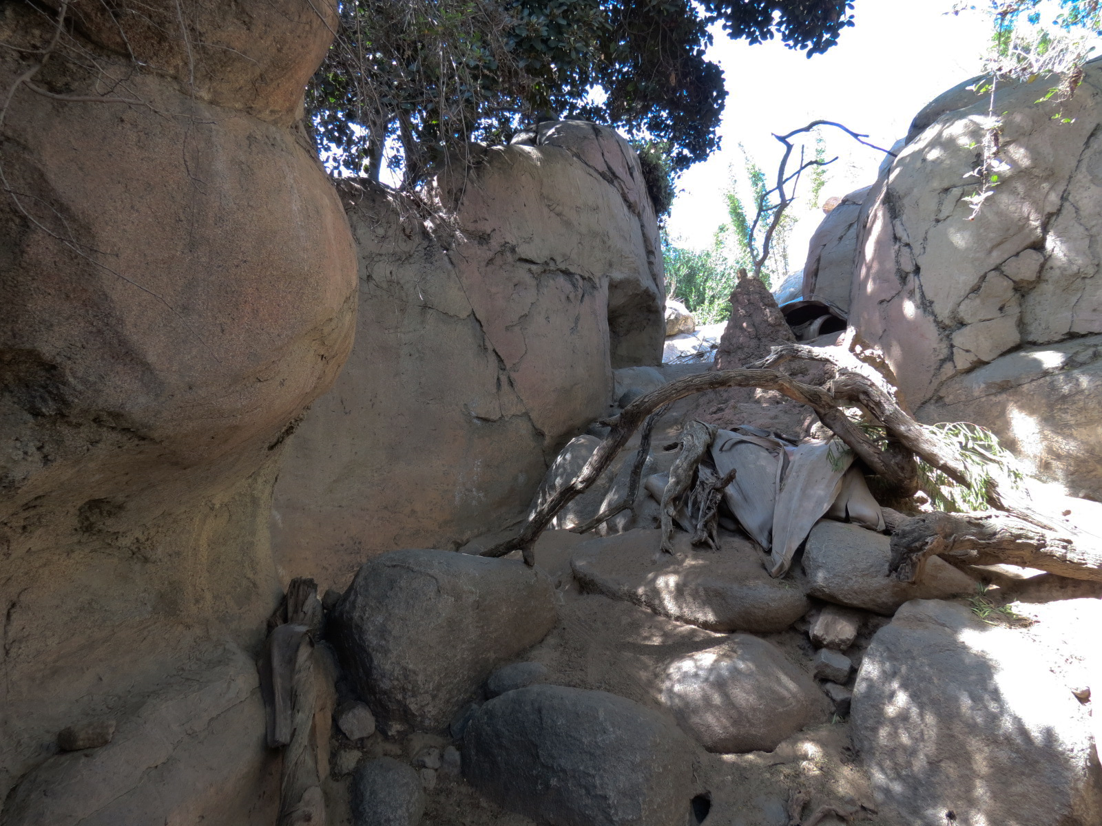 Africa Rocks - Kopje - Kopje - Klipspringer, Rock Hyrax, and Dwarf Mongoose