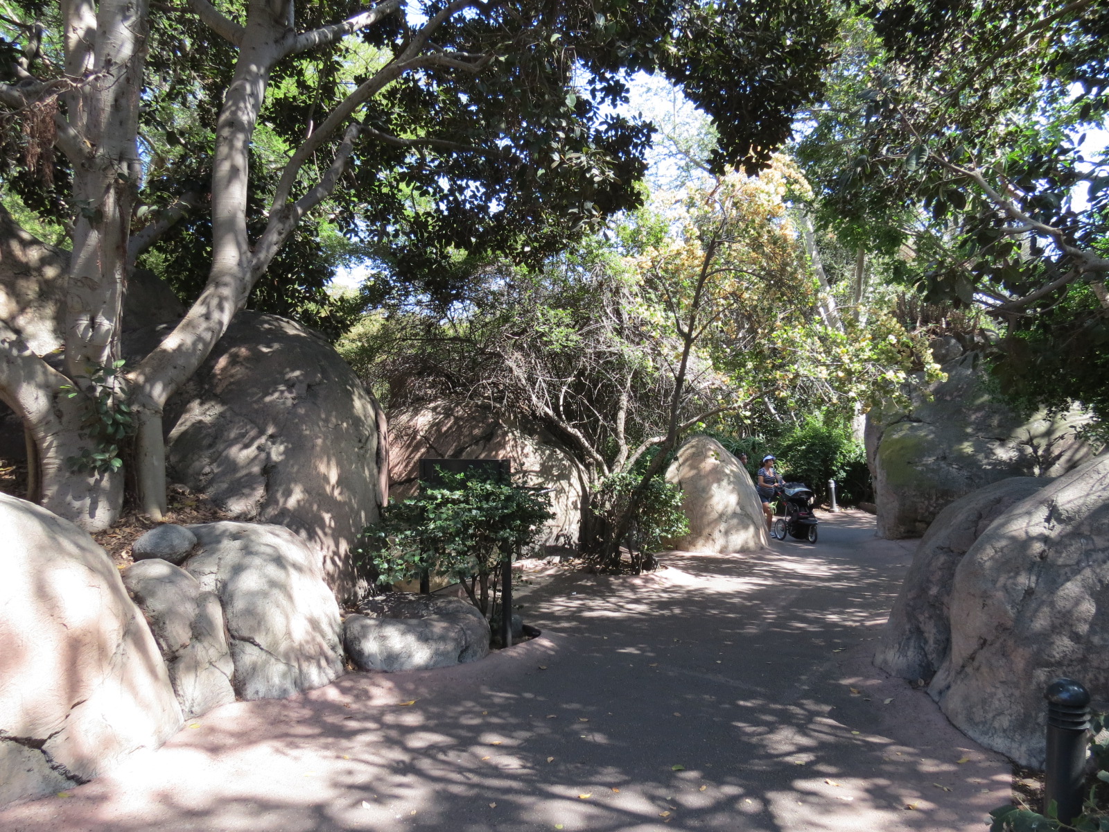 Africa Rocks - Kopje - Path