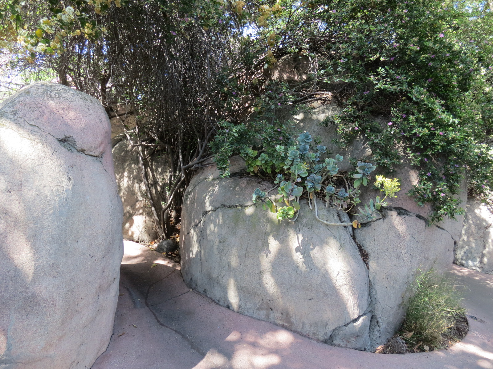 Africa Rocks - Kopje - Path