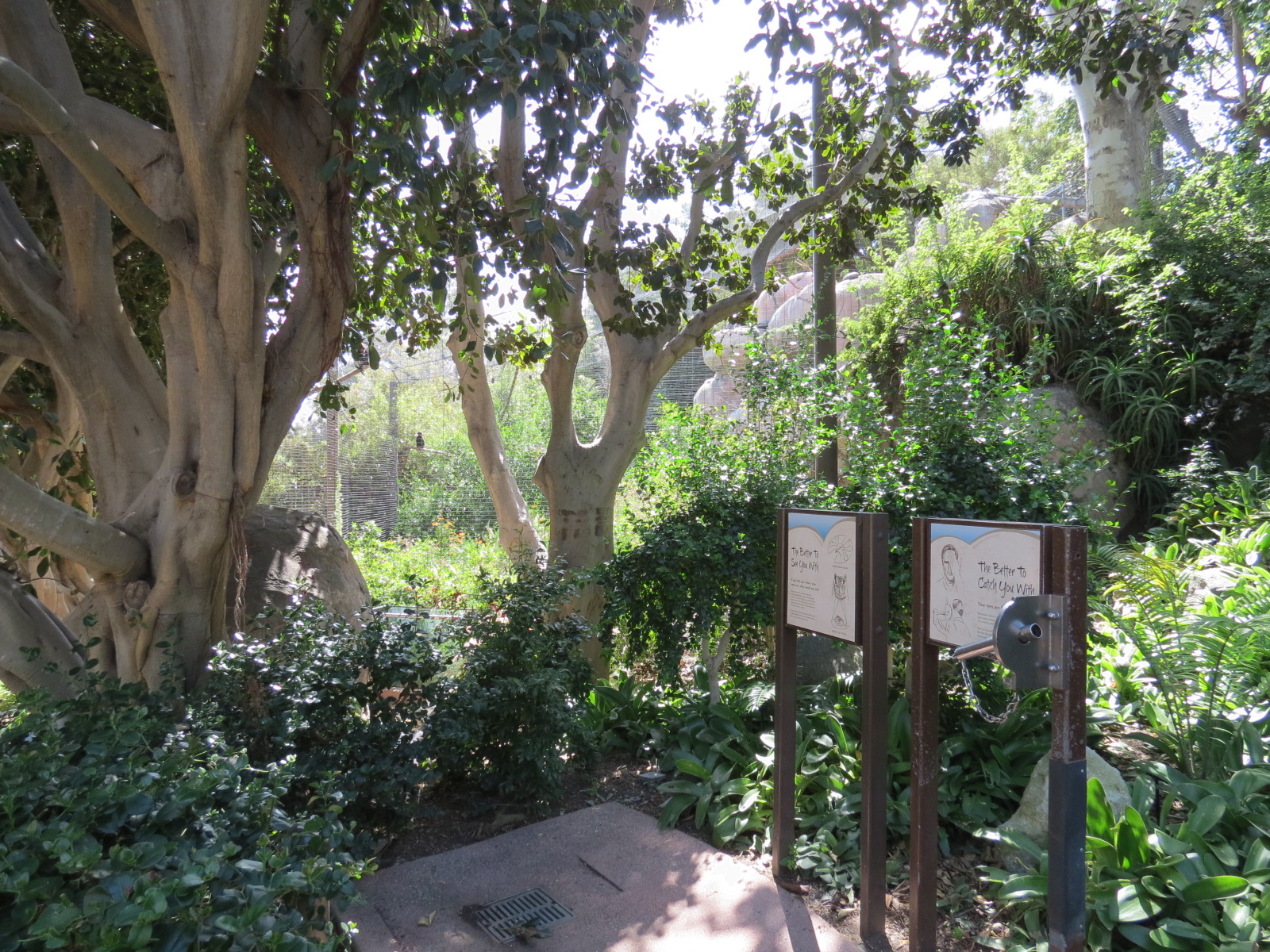 Africa Rocks - Kopje - Path