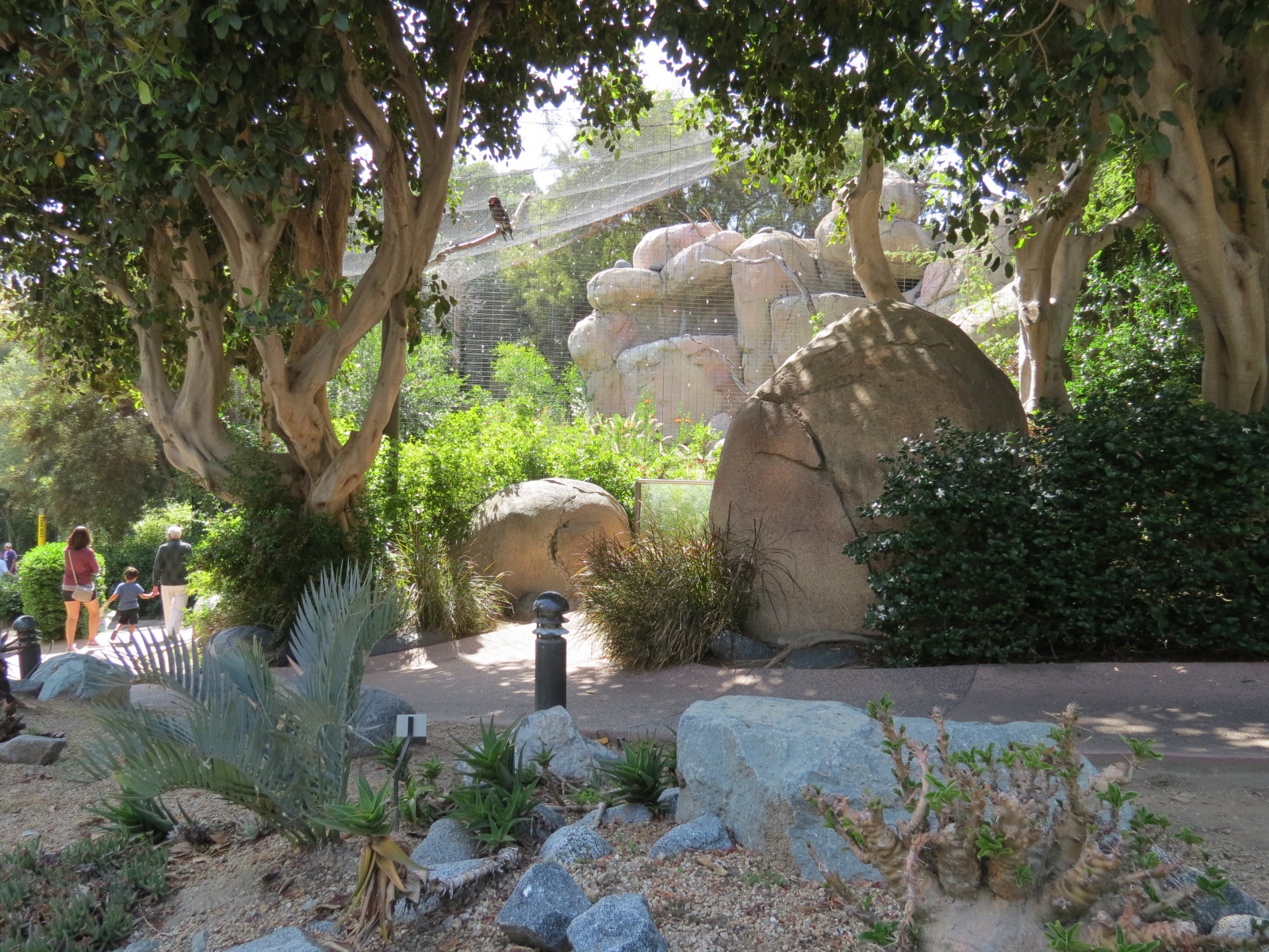 Africa Rocks - Kopje - Path