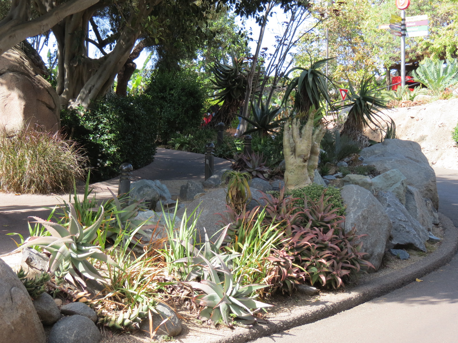 Africa Rocks - Kopje - Path