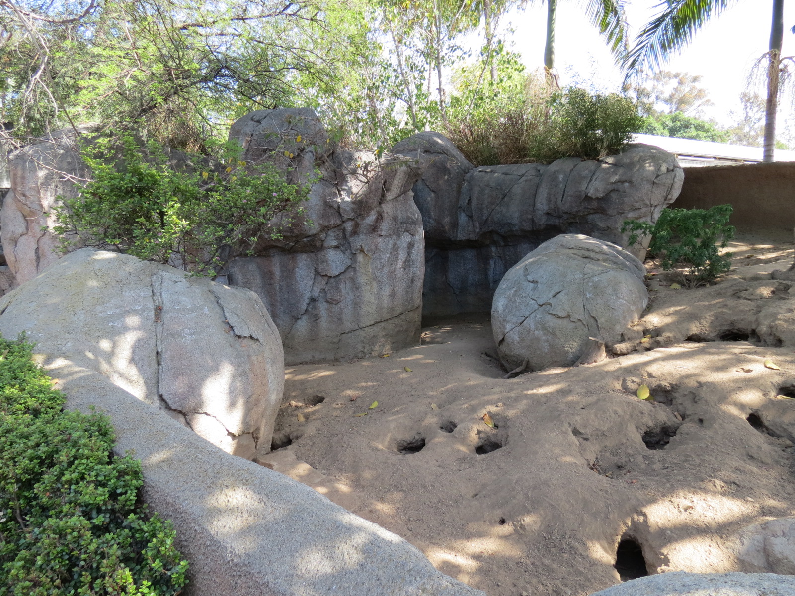Africa Rocks - Kopje - Southwest African Meerkat Exhibit
