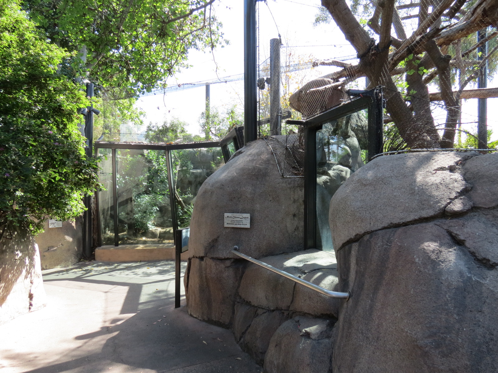 Africa Rocks - Kopje - Turkmenistan Caracal Exhibit