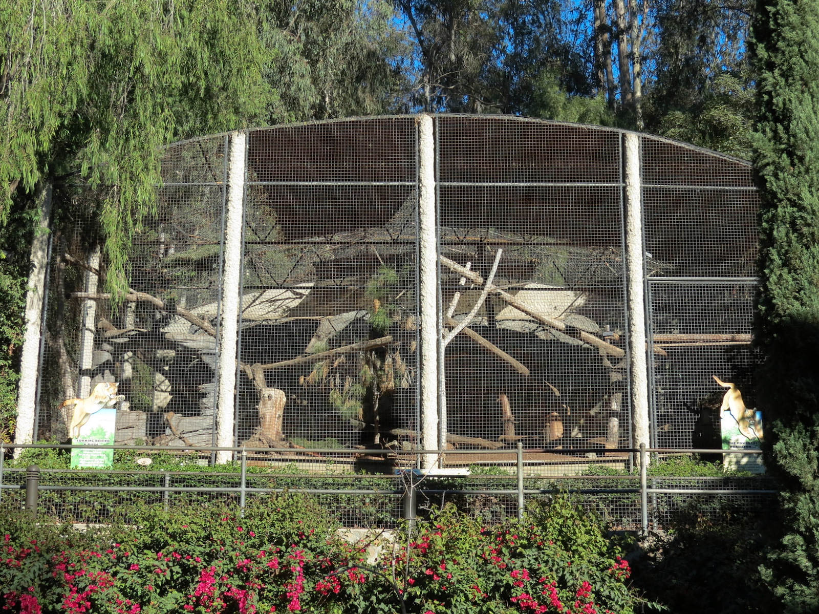 Africa Rocks - Mountain Lion Exhibit