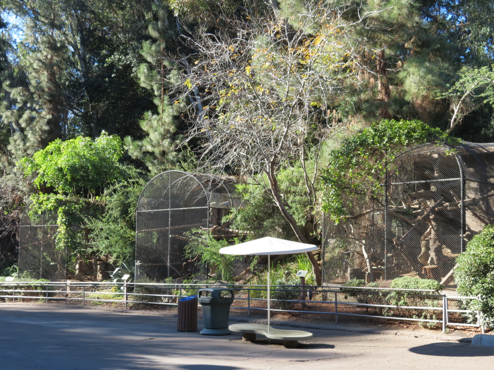 Africa Rocks - Old Cage Exhibits