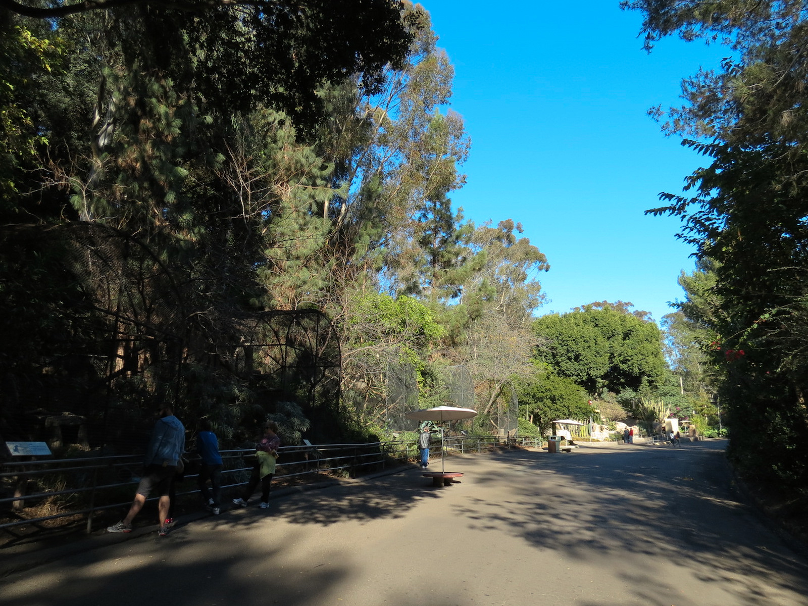 Africa Rocks - Old Cage Exhibits