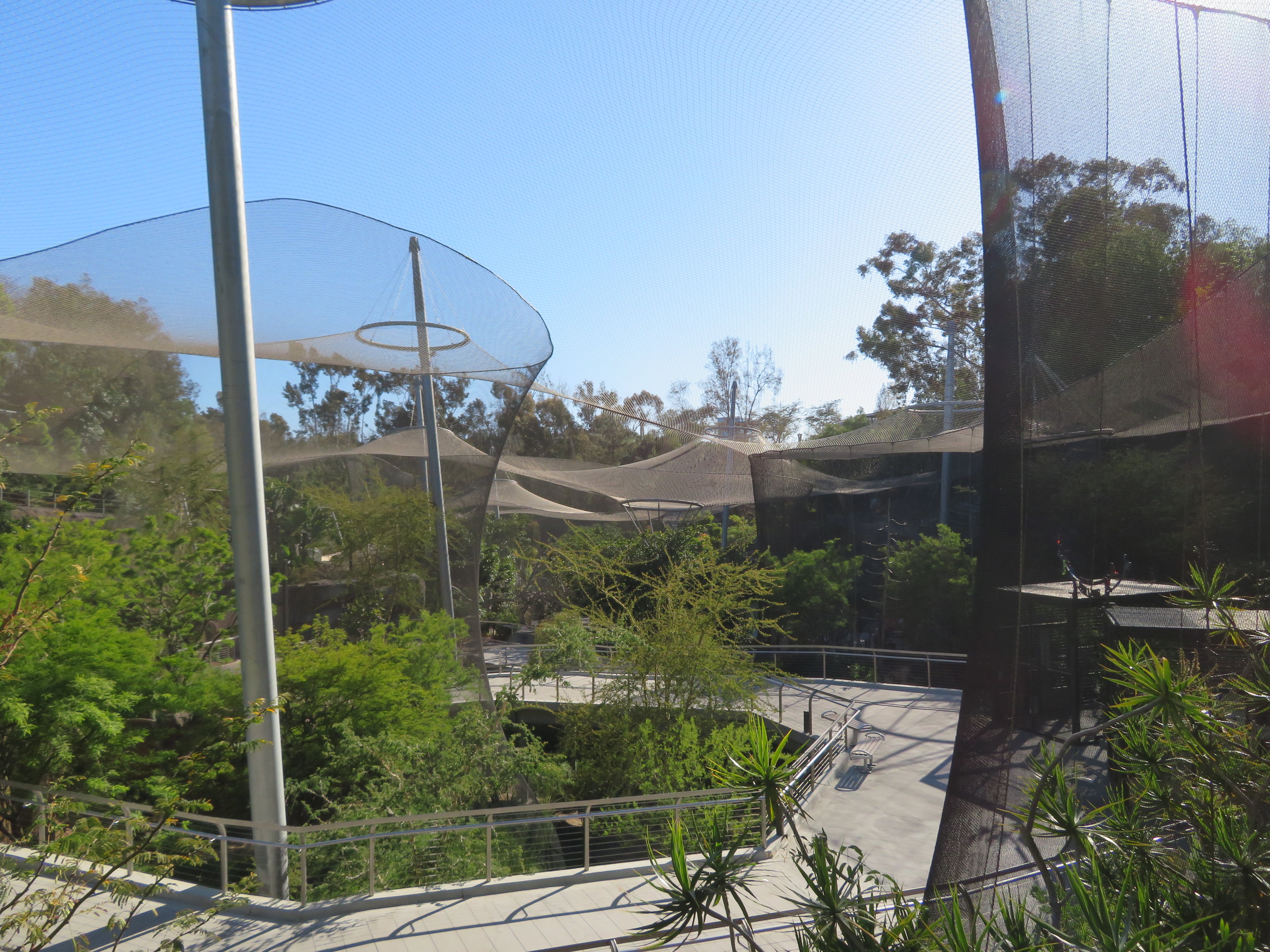 Africa Rocks - Path down Canyon