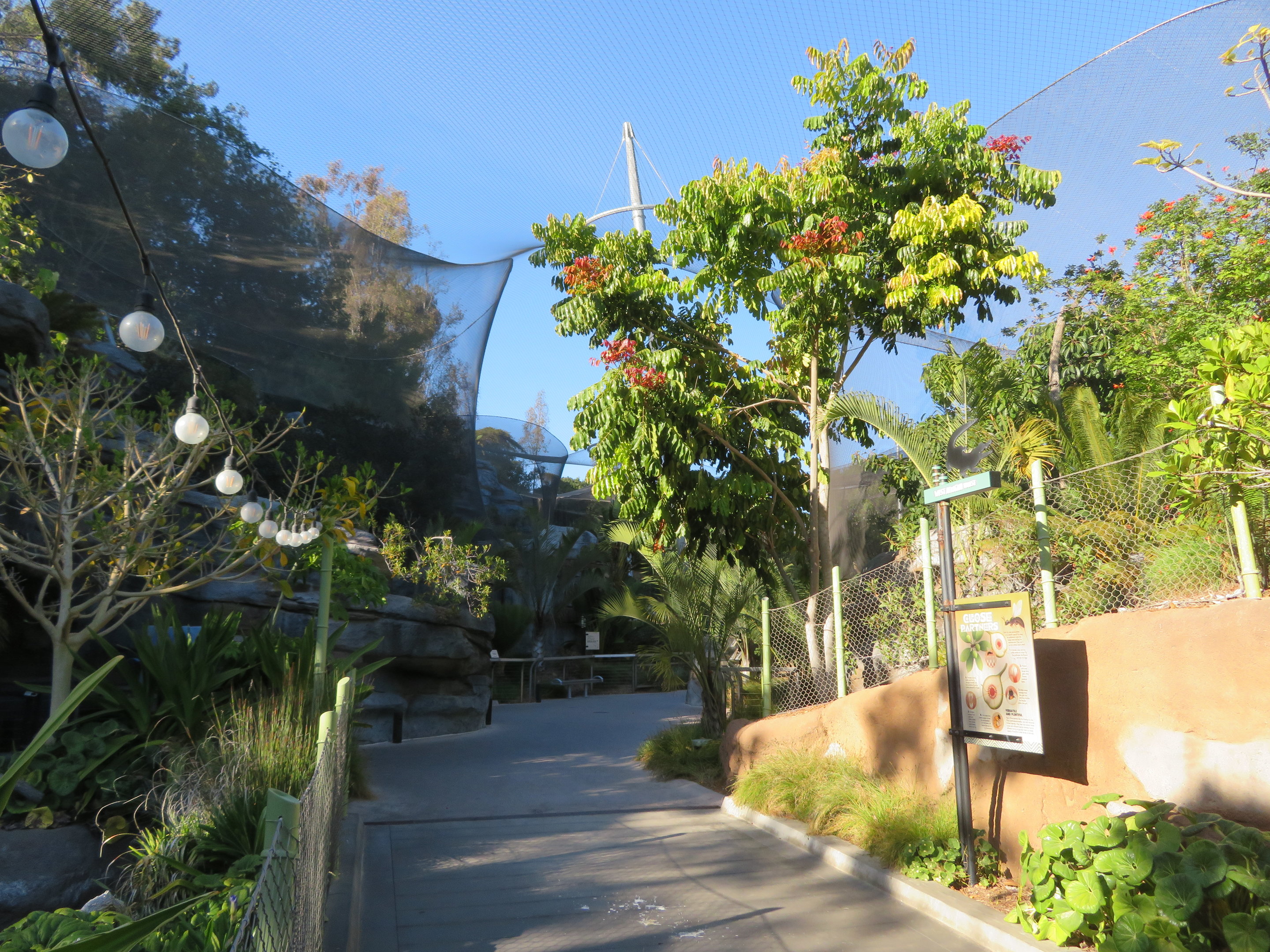 Africa Rocks - Path down Canyon