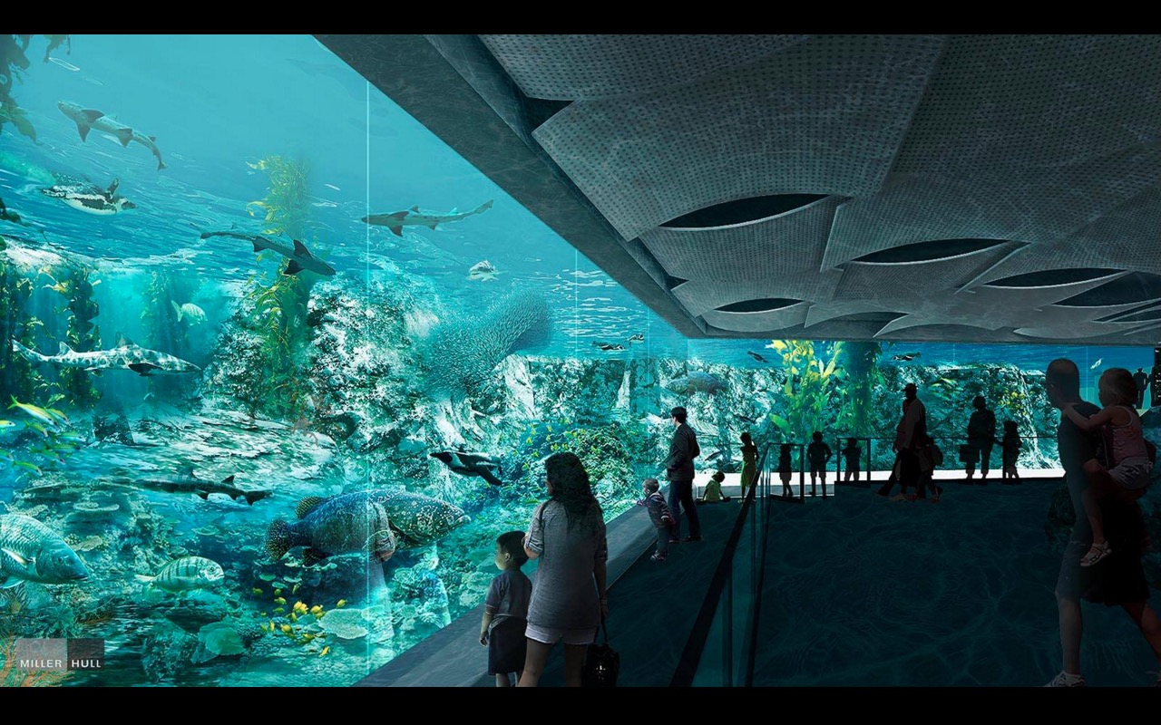 Africa Rocks Penguin Exhibit Concept
