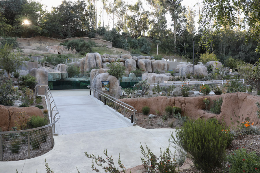 Africa Rocks - penguins