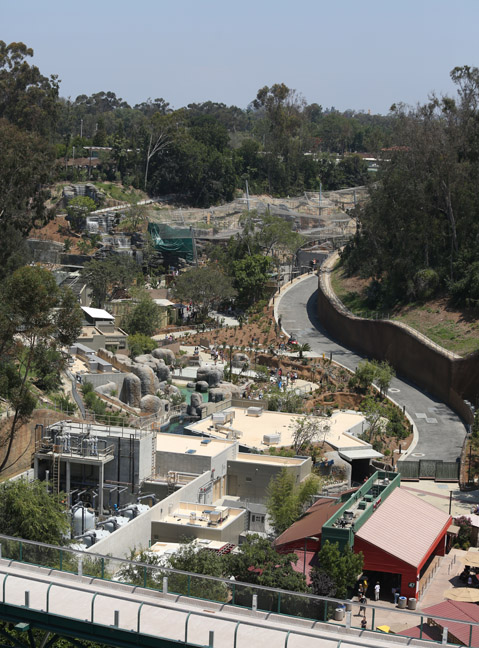 Africa Rocks progress