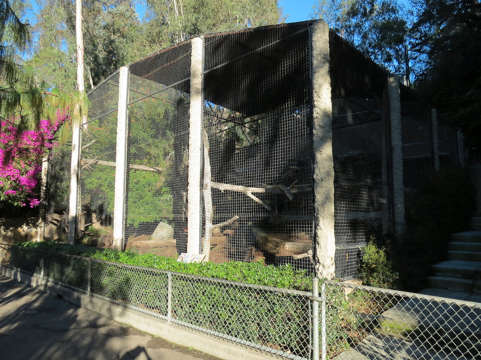 Africa Rocks - Siberian Lynx Exhibit