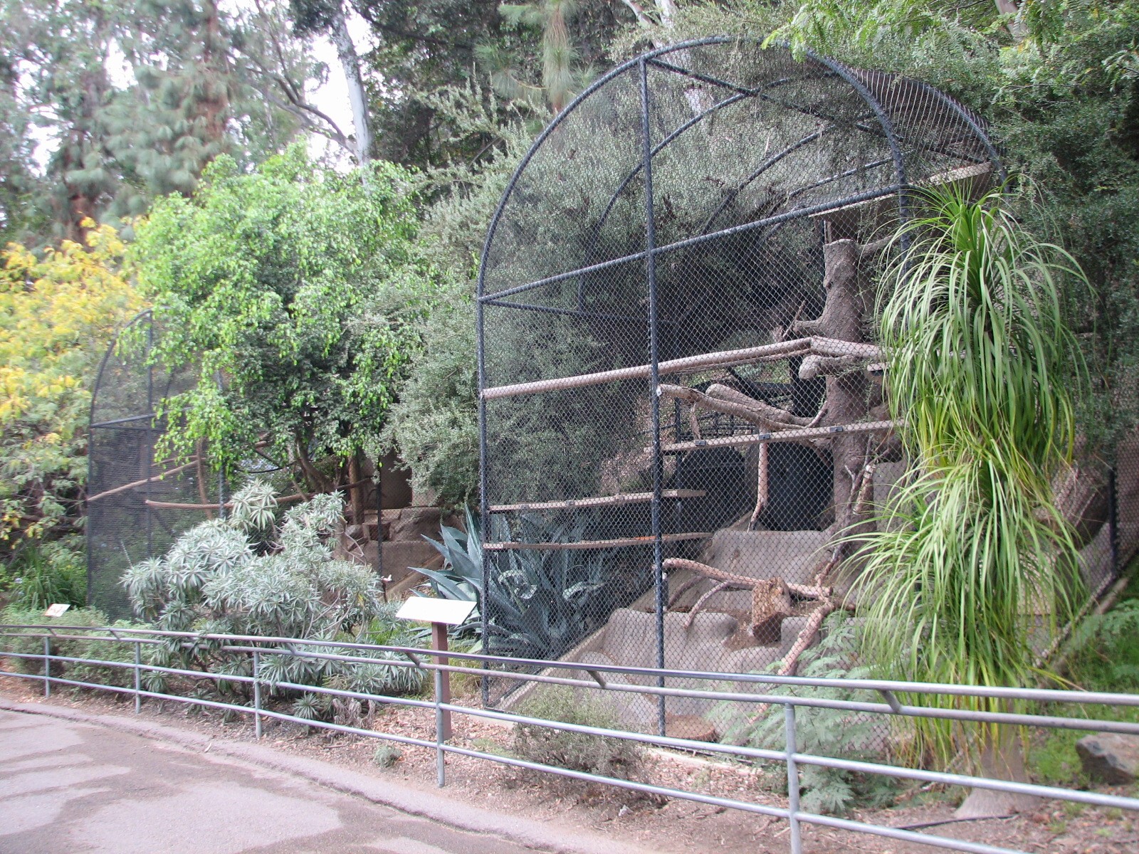 Africa Rocks - Small Mammal Exhibits