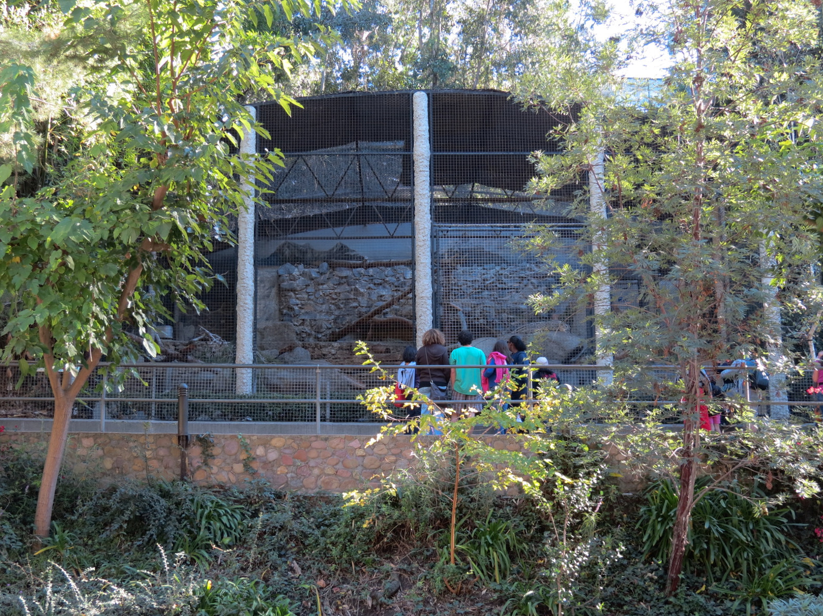 Africa Rocks - Snow Leopard Exhibit