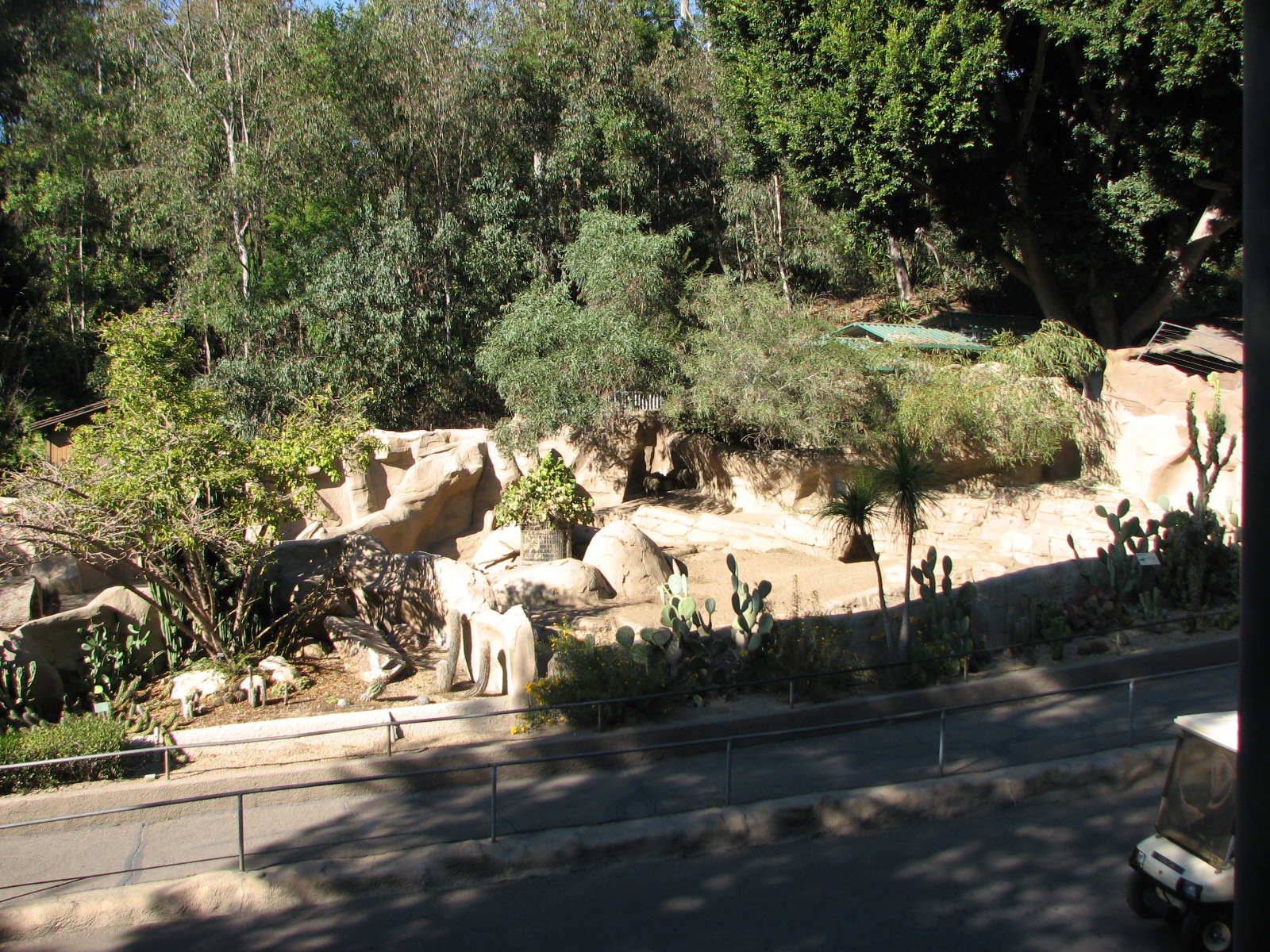 Africa Rocks - Southern Warthog Exhibit