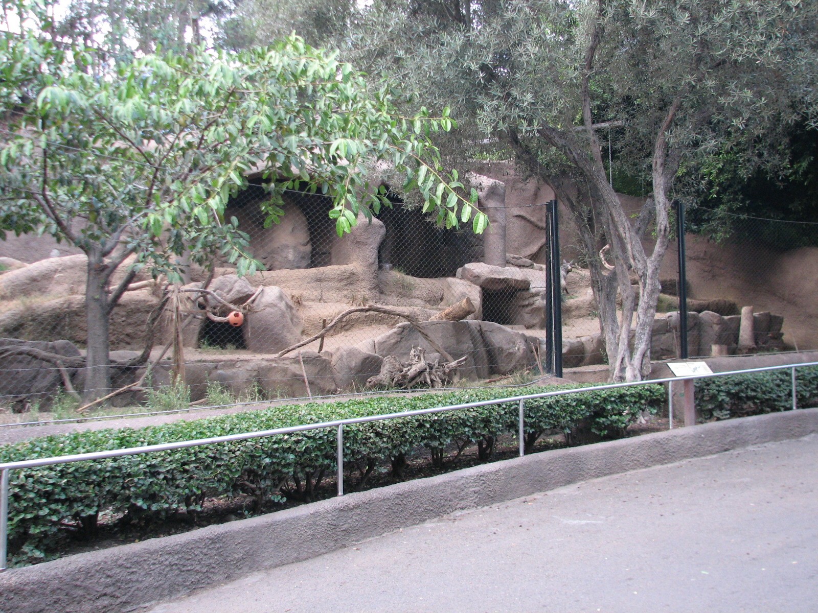 Africa Rocks - Striped Hyena Exhibit