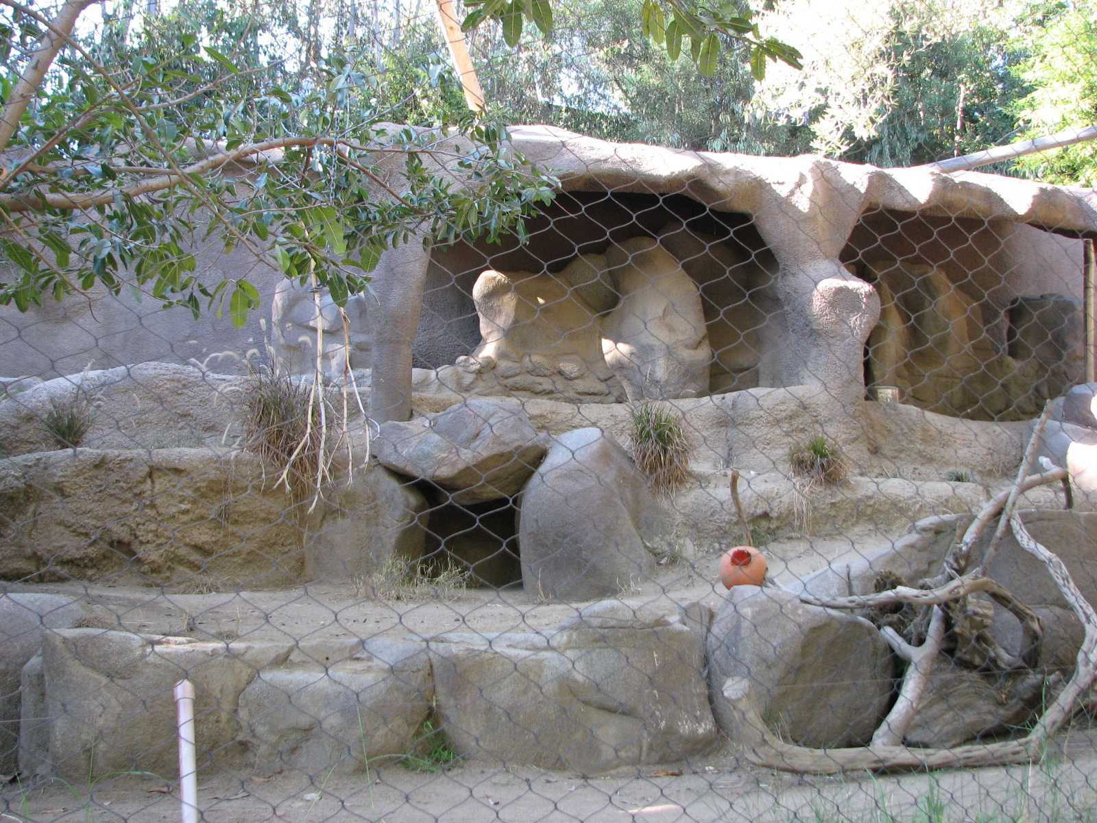Africa Rocks - Sudan Striped Hyena Exhibit