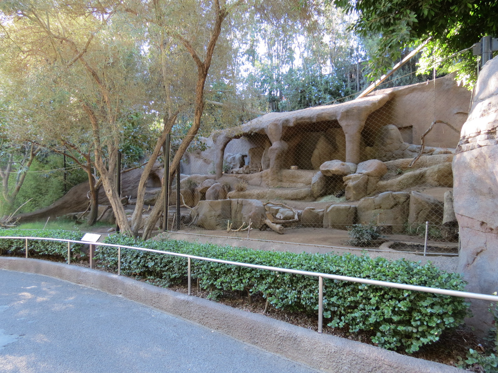 Africa Rocks - Sudanese Striped Hyena Exhibit