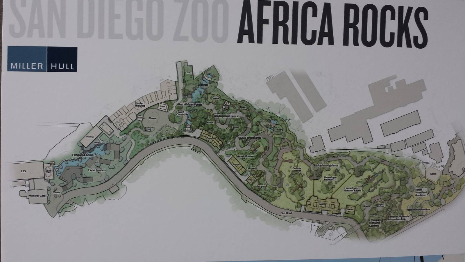 Africa Rocks updated plan