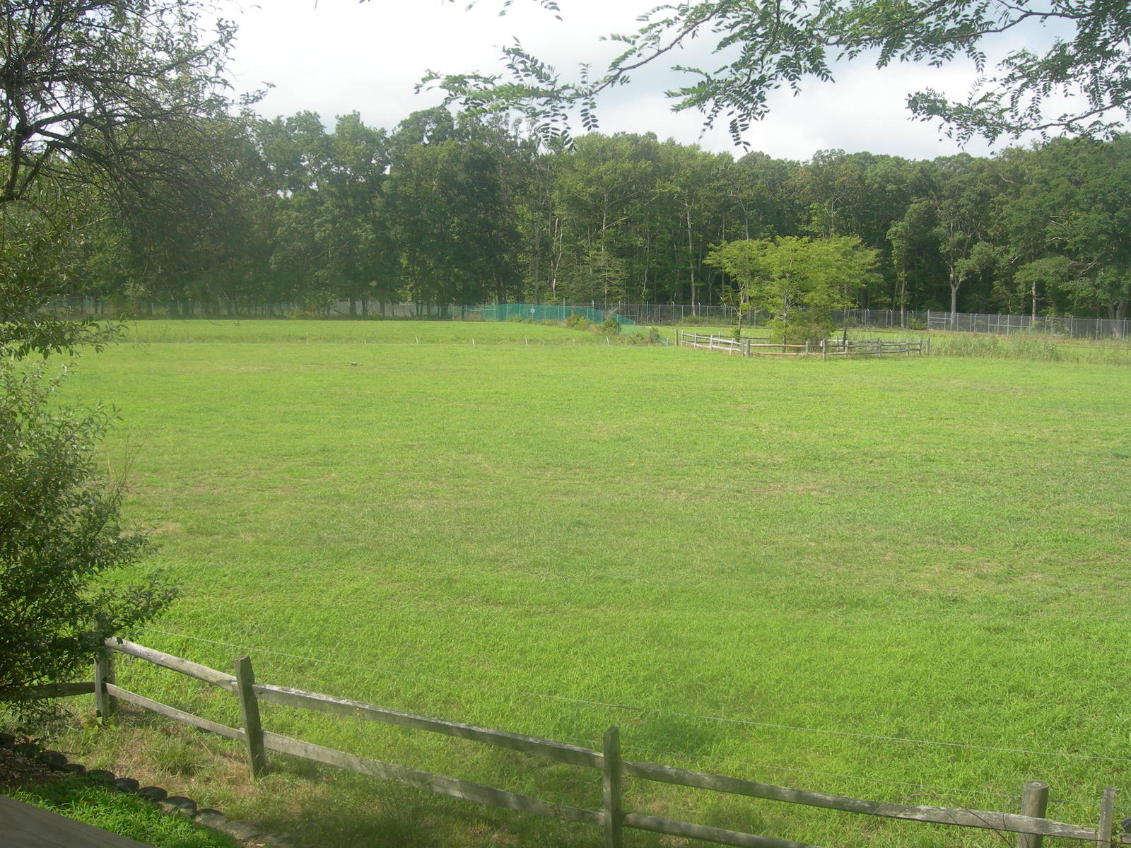 Africa Savanna Exhibit