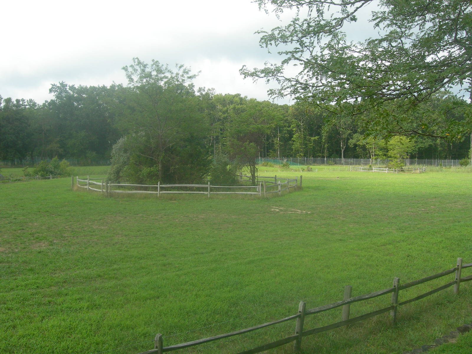 Africa Savanna Exhibit